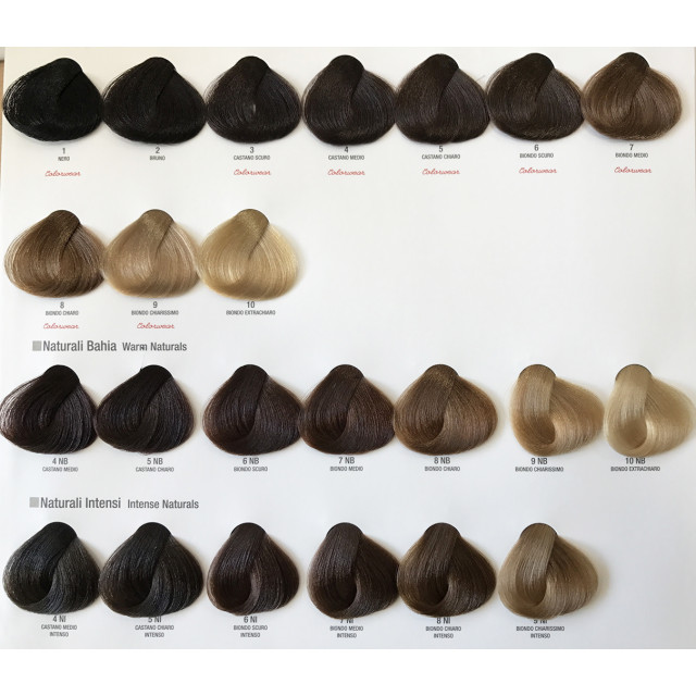 Боя за коса с хиалуронова киселина Alfaparf Evolution 60ml