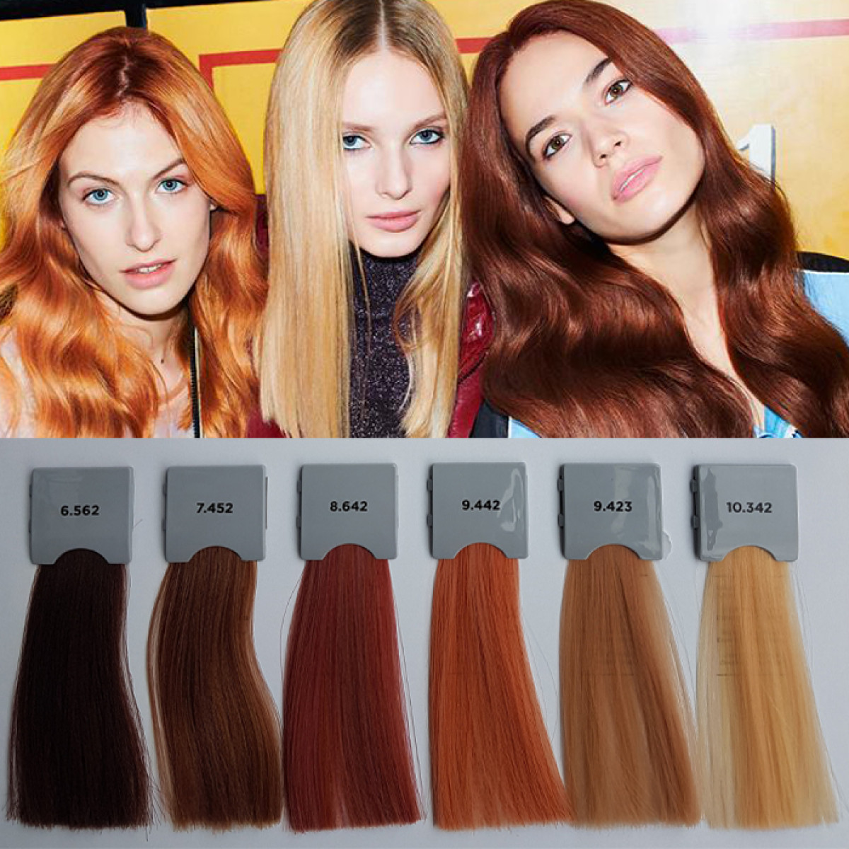 Боя за коса с хиалуронова киселина Alfaparf Evolution 60ml