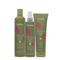 Colour Care – За боядисана коса
