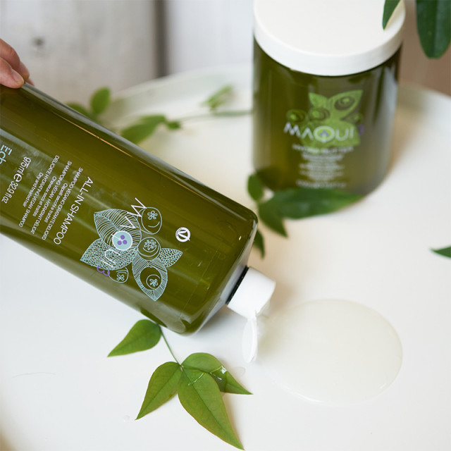 Подхранващ комплект шампоан и балсам за суха и третирана коса ECHOSLINE MAQUI 3