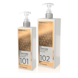 Интензивна възстановяваща терапия при техническа процедура Framesi Morphosis Re-Structure Pro-Force 